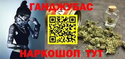 дмт Гай