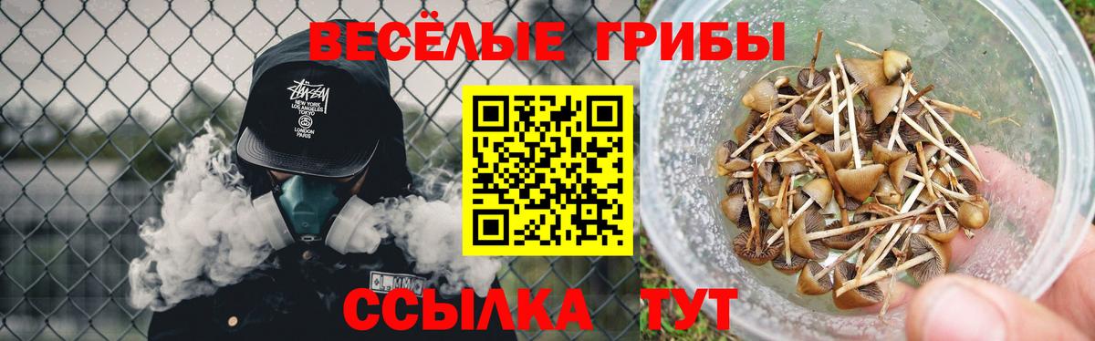 Нефтекумск  Псилоцибиновые грибы ЛСД  Вход с VPN 